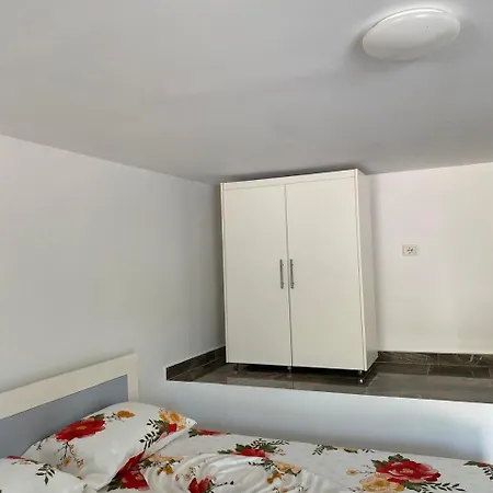 Zeka Konukevi *