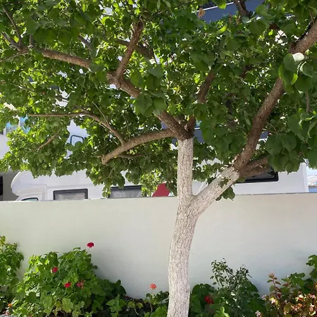 בית הארחה Zeka קסאמיל