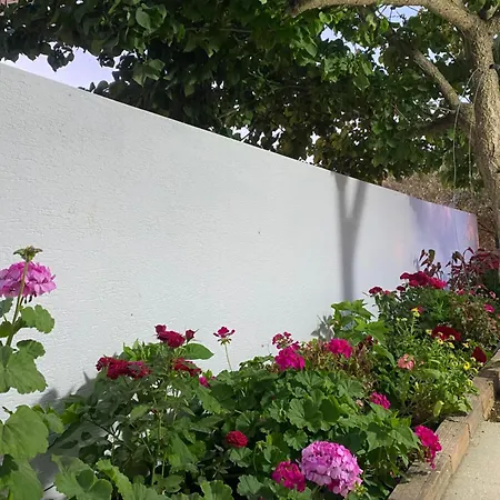 Guest house Zeka Ksamil