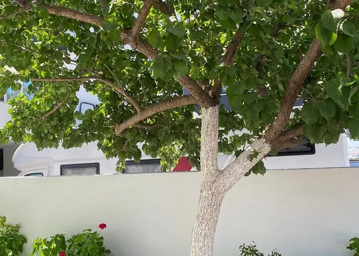 Konukevi Zeka Ksamil